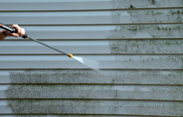 Best Residential Pressure Washing Services  in Hampton, MD