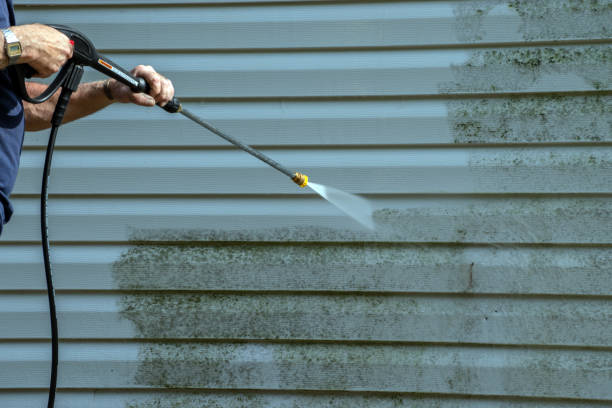 Best House Pressure Washing  in Hampton, MD