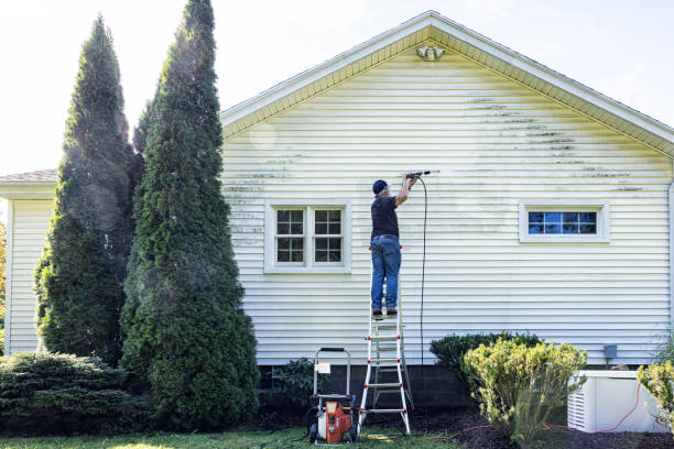 Best Residential Pressure Washing Services  in Hampton, MD